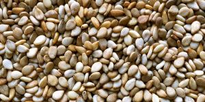 White Sesame Seeds
