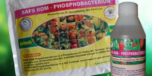 SAFS ROM – Phosphobacterium