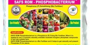 Phosphobacterium, Bio Fertilizer
