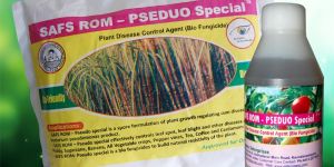 SAFS ROM – Pseudo Special