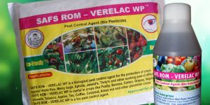 SAFS ROM – Verelac WP