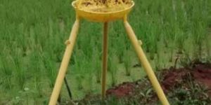 Solar Powered Insect Trap
