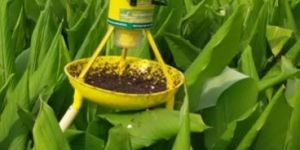 Timer Insect Light Trap