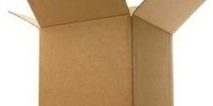 Corrugated Carton Box