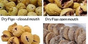 Dry Figs