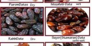 Iranian Dates