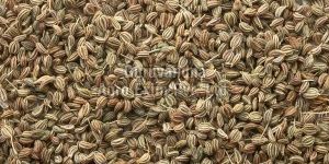Carom Seeds