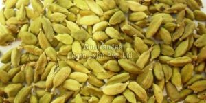 Green Cardamom