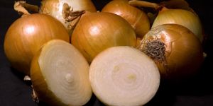 Yellow Onion