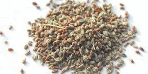 Ajwain