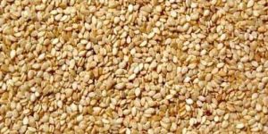 Natural Sesame Seeds