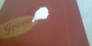 Greenply Plywood Doors