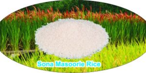 Sona Masoorie Rice