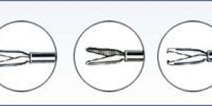 Vitrectomy Forceps