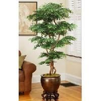 Artificial Plants