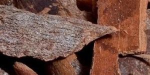 Cinnamon Bark