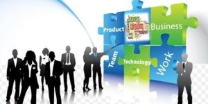 Business Consultants