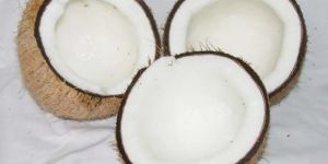 Fresh Coconut