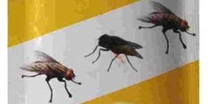 House Fly Killer Liquid