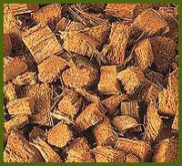 Coconut Husk