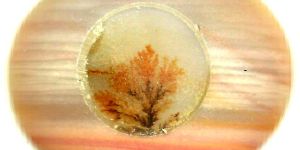 Dendrite Agate Doublets