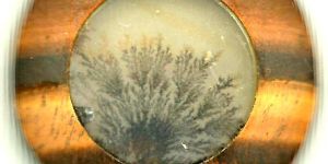 Framed Dendrite Agate