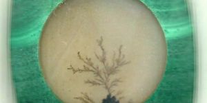 Polished Dendrite Agate Stones