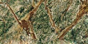 Bidasar Green Marble