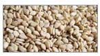 Sesame Seeds (Sesamum Indicum)