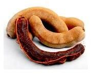 Tamarind (Tamarindus Indica)