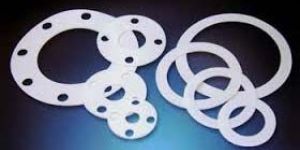 PTFE Gasket