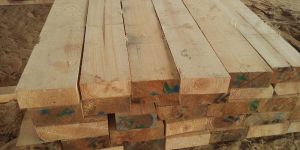 Pine Wood Lumbers