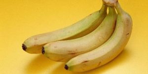 Cavendish Banana