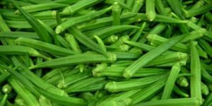 Fresh Okra Ladies Finger