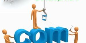 Website Development Services