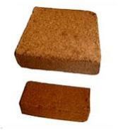 Coir Pith Blocks