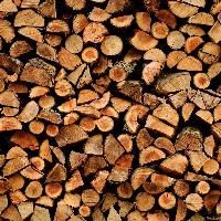 Fire Wood
