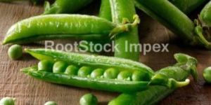Fresh Peas