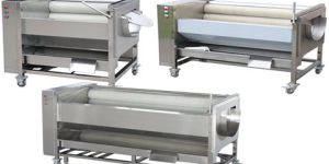 Ginger Paste Making Machine