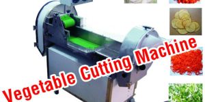 Vegetable Cutting Machine