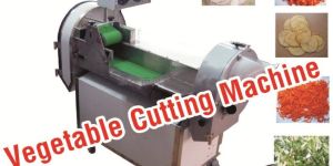 Vegetable Cutting