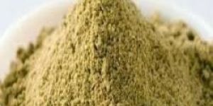 Coriander Powder