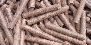 Biomass Pellet