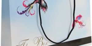 Twisted Handle Paper Bags