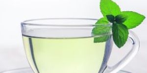 Spearmint Green Tea