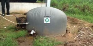 Small Capacity Flexible Type Domestic Biogas Plant