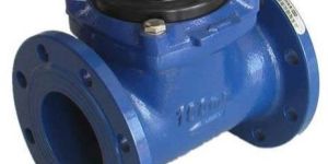 Woltman Water Meter
