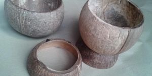 Coconut Shells Products