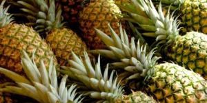 Fresh Pineapple