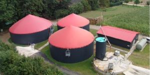 Biogas Power Plant
